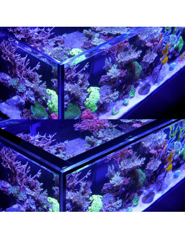 copy of Reefer™ S 1000 G3 - Noir