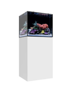 copia de copia de copia de copia de copia de copia de copia de copia de copia de copia de copia de WATERBOX Cube 20- Aquarium 76