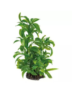 copia de SF Art Plant Microsorum (25cm)