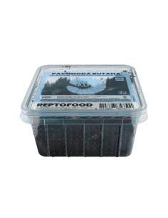 REPTO LARVES DE DOLAS (PACHNODA) BOX