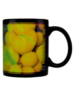 Tasses GroTech Mushroomcoral