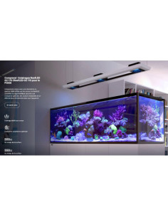 Red Sea Reefer™ MAX PENINSULA S-950 G3 Noir (AQUARIUM+MEUBLE+TOUT L'ÉQUIPEMENT)