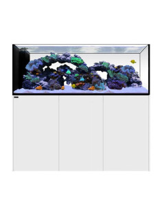 copy of copy of Aquarium Waterbox Peninsula 7225 Noir 875 L