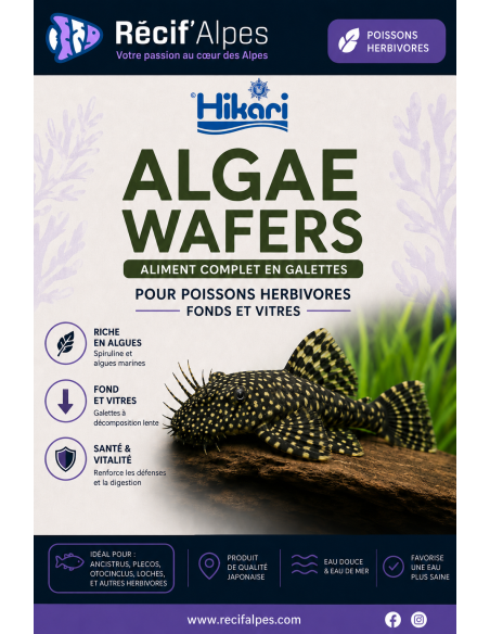 Algae wafers HIKARI (vendu au grammes)