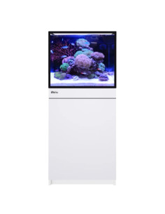 Red Sea REEF-FRAME 170 – Blanc