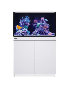 RED SEA REEF-FRAME 250 Blanc