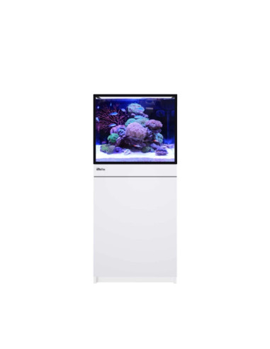 Reef-Frame MAX 170 - Blanc