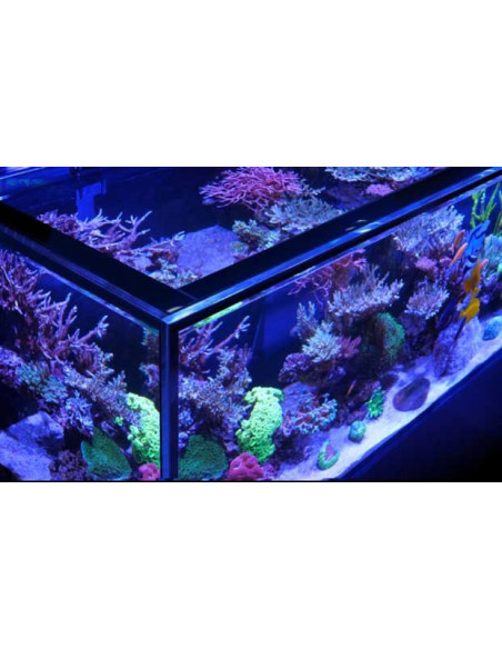 Reef-Frame MAX 170 - Chêne