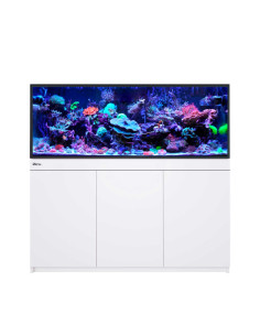 copy of copy of Reef-Frame MAX 350 - Chêne