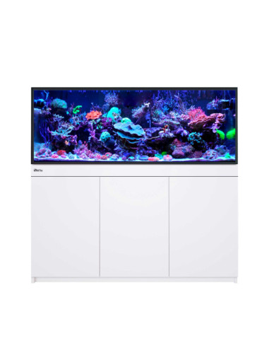 copia de copia de Reef-Frame MAX 350 - Chêne