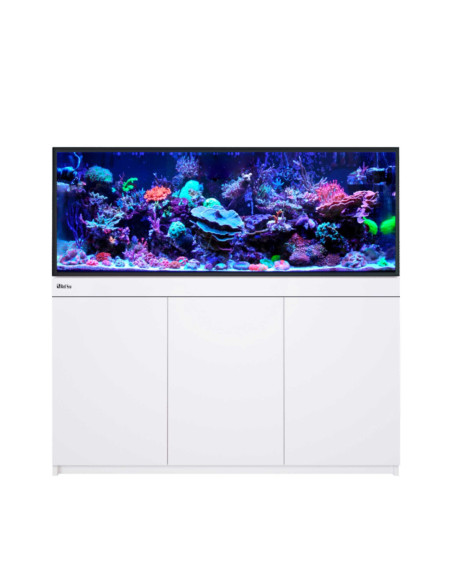 copia de copia de Reef-Frame MAX 350 - Chêne
