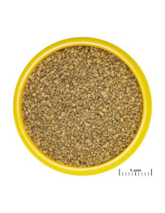 JBL PRONOVO KILLIFISH GRANO S