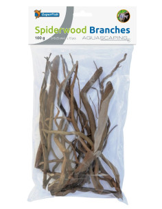 RACINE ARAIGNEE BRANCHES
