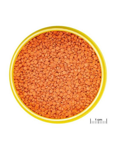 JBL PRONOVO BITS GRANO M