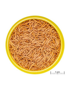 JBL PRONOVO BETTA INSECT STICK S