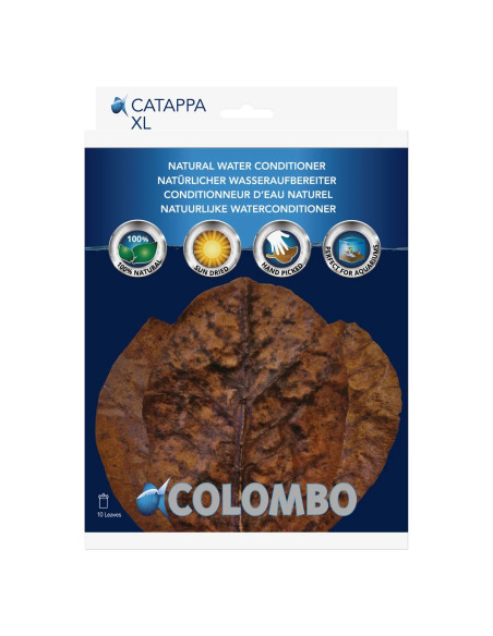 COLOMBO CATAPPA 10PCS