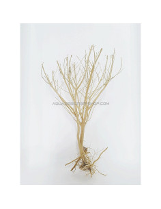 mini tree 26/35cm
