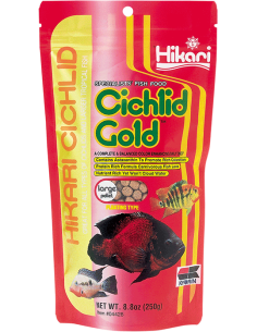 Cichlid Gold
