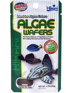 Hikari Algae Wafers