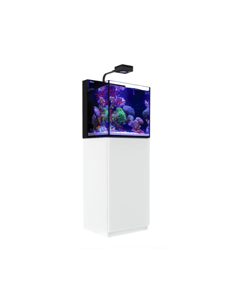 Max nano G2 avec meuble blanc
