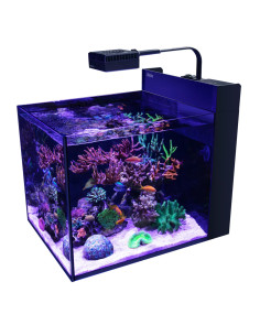 Max Nano peninsula G2