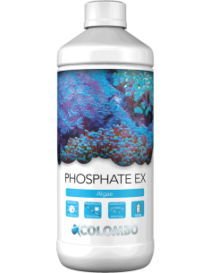 Phosphate Ex
