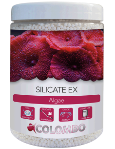 Silicate Ex