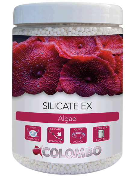 Silicate Ex