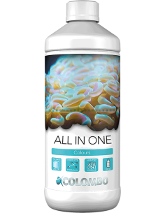All in One