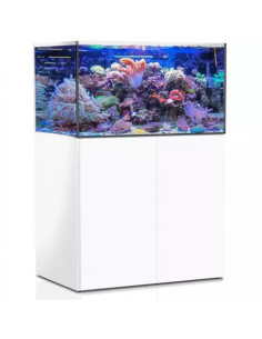 Aquarium AQUA MEDIC Armatus 375 XD + meuble blanc