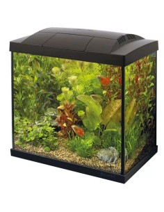 SF START 100 TROPICAL KIT
