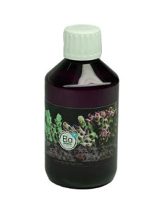 BARYUM RECIFALMUST 250ML