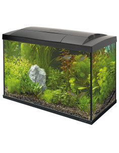 SF START 70 TROPICAL KIT