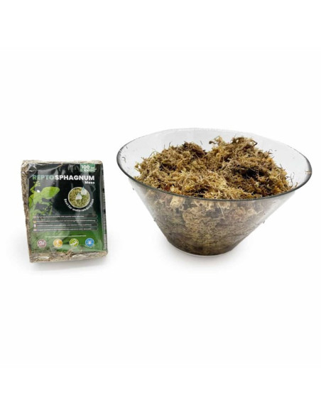 Mousse de sphaigne Repto