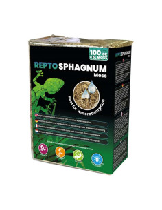 Mousse de sphaigne Repto