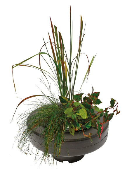 SF PANIER PLANTE FLOTTANT Ø 30 CM
