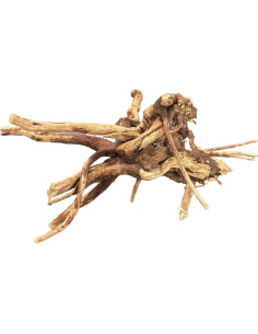 BIOART SPIDER WOOD