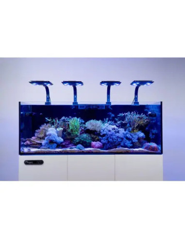 Maxspect Jump MJ-L290 Blue LED
