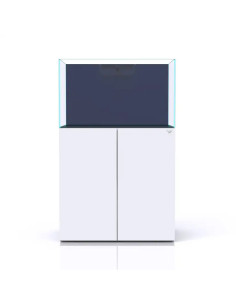 NYOS - Opus G2 300 - Slim Line Blanc