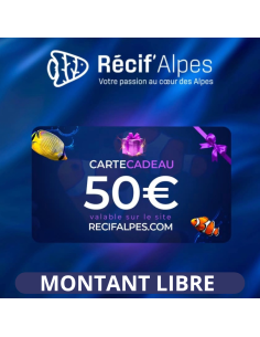 Carte cadeau