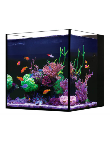 Red Sea Desktop® Cube (sans meuble)