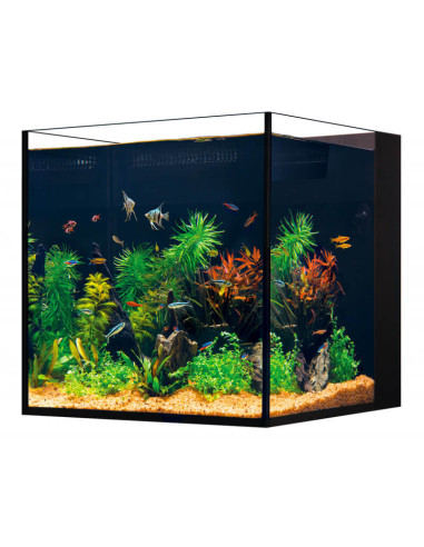 Red Sea Desktop® Cube (sans meuble)