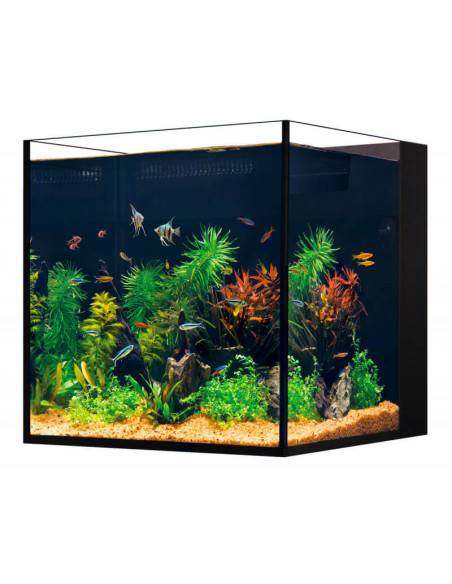 Red Sea Desktop® Cube (sans meuble)