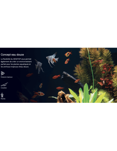 Red Sea Desktop® Cube (sans meuble)