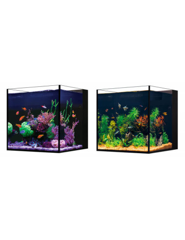 copia de Red Sea Desktop® Cube (sans meuble)