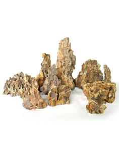 Pierre Canyon S (0.4-1kg)