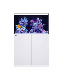 copia de copia de Red Sea Reefer™ 250 G2+ Blanc (Aquarium + meuble)