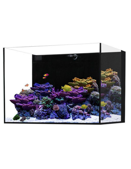 copia de WATERBOX Cube 20- Aquarium 76 L