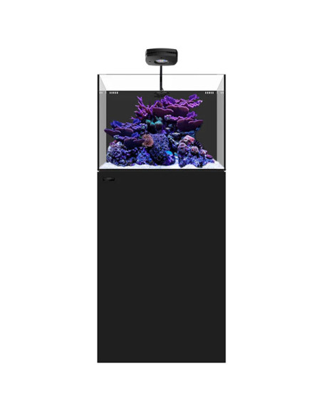 copia de WATERBOX Cube 20- Aquarium 76 L