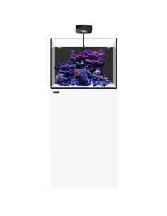 copia de copia de WATERBOX Cube 20- Aquarium 76 L